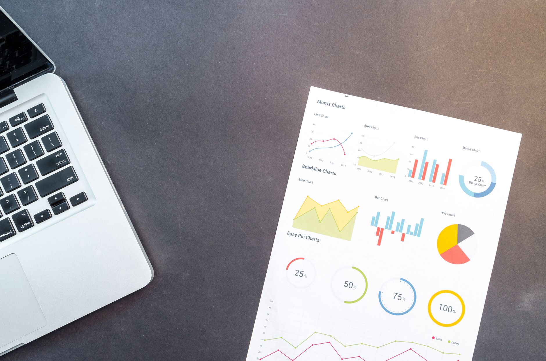 Content Velocity & SEO: The Feedback Loop to Higher Rankings